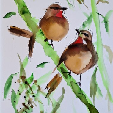 ציור מקורי: הציור il_fullxfull.5589654561_j8jd.jpg מציג שני ציפורים חומות עם גרונות אדומים יושבות על ענפים ירוקים בין עלים מפוזרים, מצוירות בצבעי מים על נייר כותנה ליצירת מראה קליל, אוורירי ואימפרסיוניסטי. מוסיף צבע וייחודיות לכל חלל.