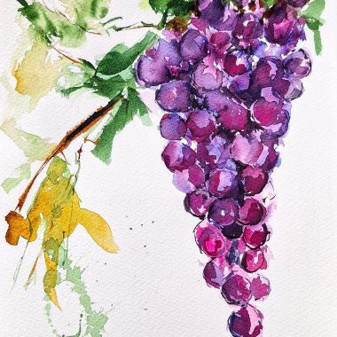 ציור מקורי: Il_fullxfull.5858154867_c0ug.jpg מציג ציור אקוורל רופף ומלא הבעה על נייר כותנה — אשכול ענבים סגולים עם עלים ירוקים, כתמים צבעוניים ומשיחות מכחול דינמיות על רקע לבן בוהק. מוסיף צבע וייחודיות לכל חלל.