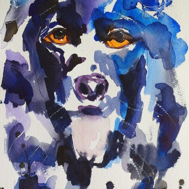 ציור מקורי: Il_fullxfull.5593487609_d2uc.jpg מציג דיוקן מופשט של כלב בצבעי מים, בגוונים עזים של כחול, סגול ושחור, עם עיניים זהובות ומלאות הבעה ומשיחות מכחול דינמיות המשתלבות ברקע לבן — מושלם לתלייה על קיר כחלק מעיצוב פנים. מוסיף צבע וייחודיות לכל חלל.