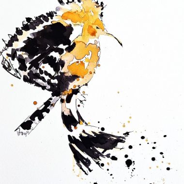 ציור מקורי: המוצר il_fullxfull.6110720772_qxcv.jpg מציג ציפור דרור מים עם כתר מרשים, מצוירת במשיכות רפות בצבעי שחור וזהוב-כתום על נייר כותנה עם כתמים דינמיים על רקע לבן. מוסיף צבע וייחודיות לכל חלל.