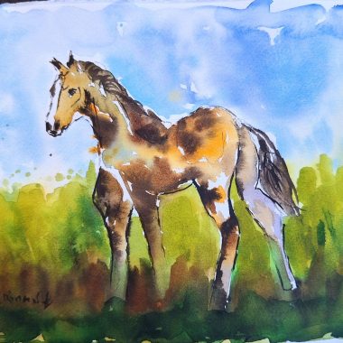 ציור מקורי: הקובץ il_fullxfull.6425677883_pz8u.jpg מציג ציור מודרני בצבעי מים של סוס חום ולבן על דשא ירוק תחת שמיים כחולים, המציג צבעים רכים ומשיכות מכחול דינמיות ליצירת אמנות קיר מסוגננת. מוסיף צבע וייחודיות לכל חלל.